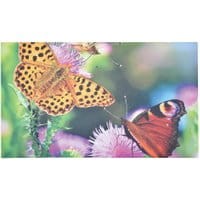Wycieraczka Butterfly 45.5x76 cm