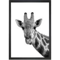 Obraz Giraffe Portrait 24x29 cm