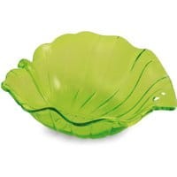 Salaterka Leaf