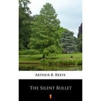 The Silent Bullet