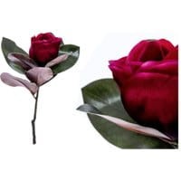 08e5b4a5636cc1cac3f50cc23d765925