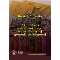 Akumulacja rezerw dewizowych we współczesnej gospodarce światowej