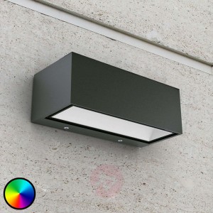 WiZ kinkiet zewnętrzny LED Gemini, 22cm