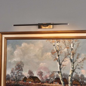 Oświetlenie obrazów LED Emilias, nikiel, 51 cm