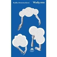 Wady snu