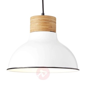 Lampa wisząca Pullet