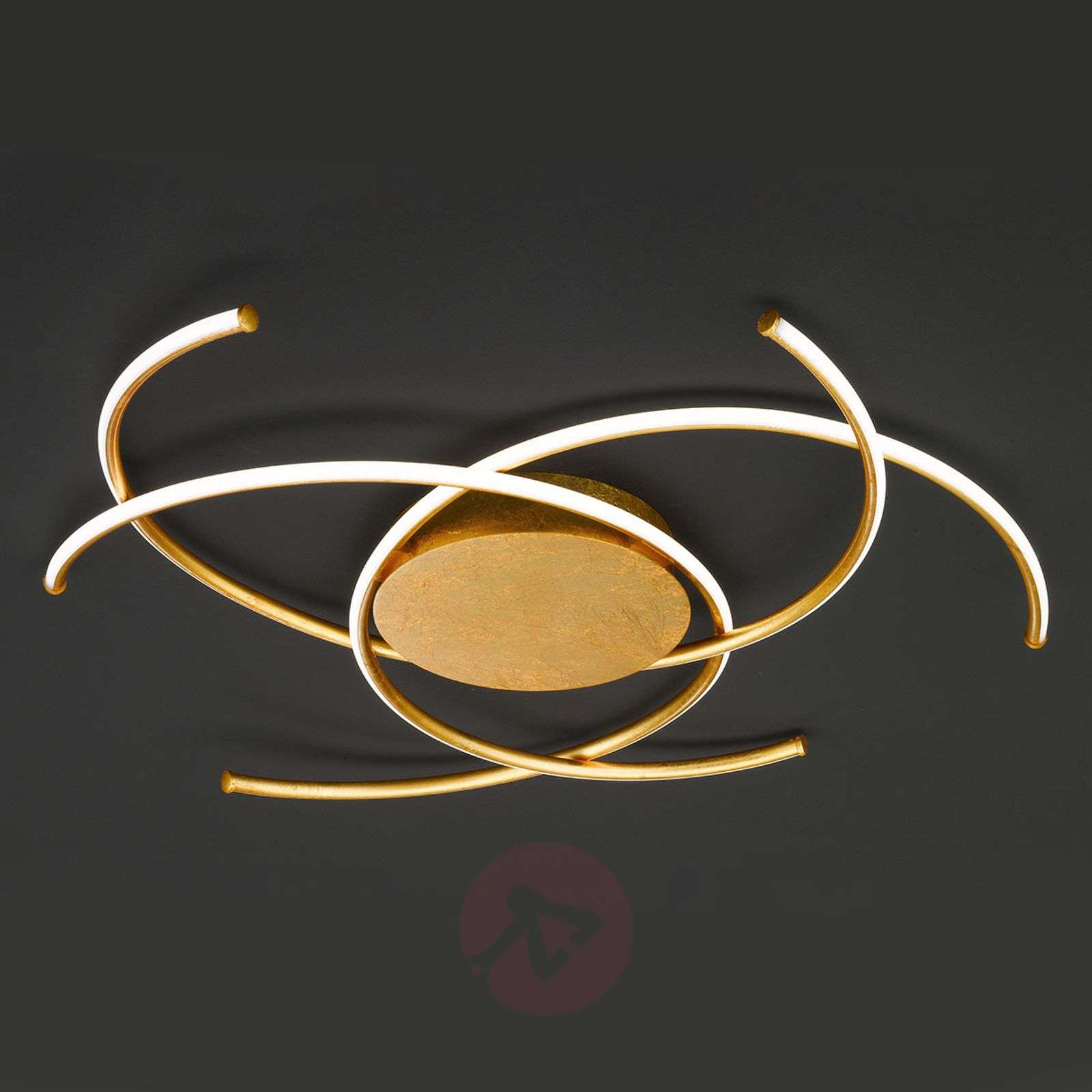 119082a79dfc1ab7a979a402e690d4a7