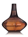 Calvin Klein Secret Obsession Woda Perfumowana For Her. (100 ml)