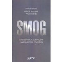 Smog. Konsekwencje zdrowotne zanieczyszczeń powietrza