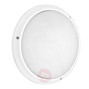 Ponadczasowa lampa ścienna TENA zewnętrzna