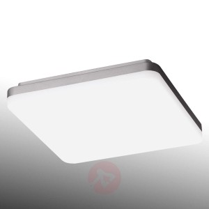 WL390 Opal Cover, lampa sufitowa, uniwersalna biel