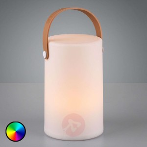 Zewnętrzne oświetlenie dekoracyjne Aruba RGB