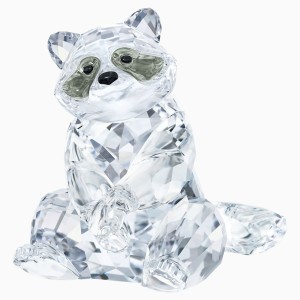 Raccoon