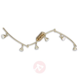 Cameron - lampa sufitowa, 6 ruchomych reflektorów