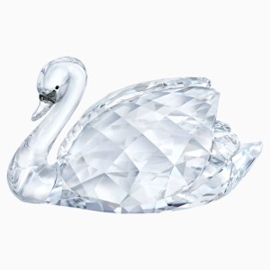 Swan, large