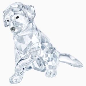 Labrador matka