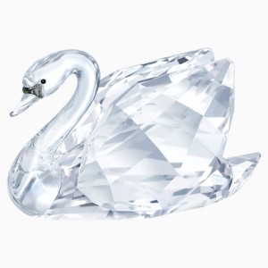 Swan, small