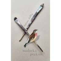 Malarka ptaków