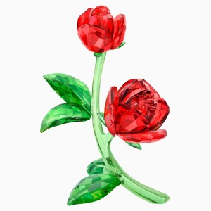 Red Rose