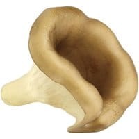Dekoracja Mushroom
