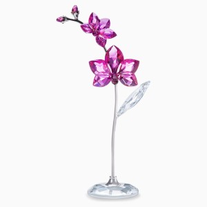 Kwiatowe sny – Orchidea, duża