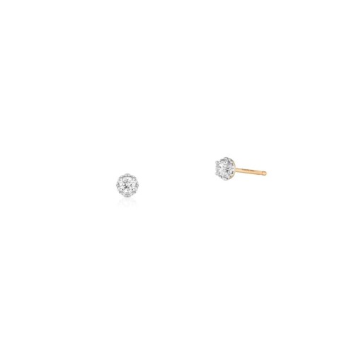 e4322e31cc4f6910859f0e5d00c040e7
