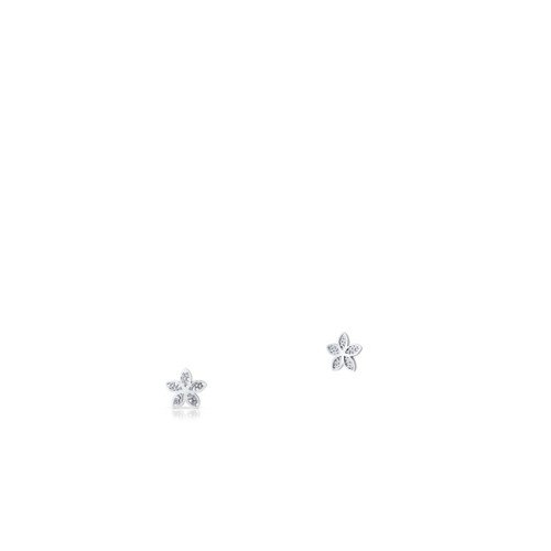 bfd0237d900ac59b44316a2809a70072