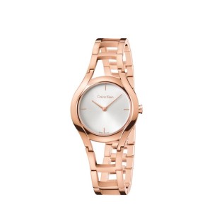ZEGAREK CALVIN KLEIN Class