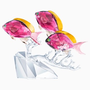 Trzy rybki anthias