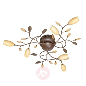 Lampa sufitowa Groseseto 6-punktowa, brązowa
