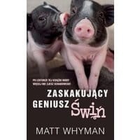 Zaskakujący geniusz świń
