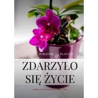 1d0105cbd26daeb74a5a99d3d0177852