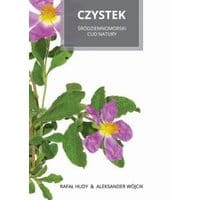 Czystek Śródziemnomorski cud natury