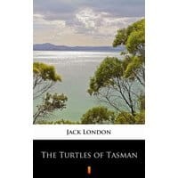 The Turtles of Tasman