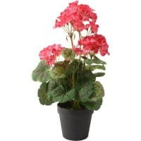Sztuczna roślina w doniczce Geranium