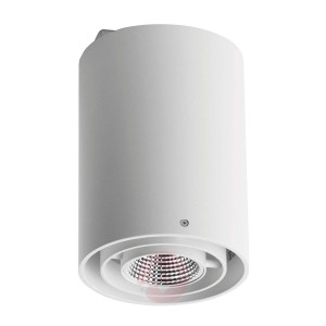 Zipar Surfaced spot sufitowy LED 19W, 3 000K