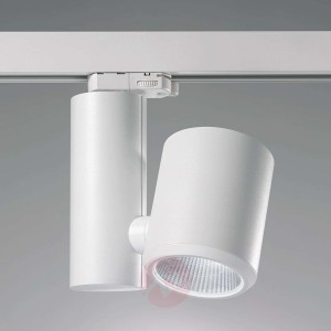 Kent Meat - reflektor szynowy LED biały 38°