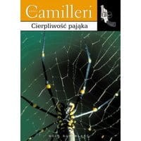 Cierpliwość pająka