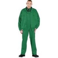 Ubranie robocze REIS Oliwier bluza + ogrodniczki zielone