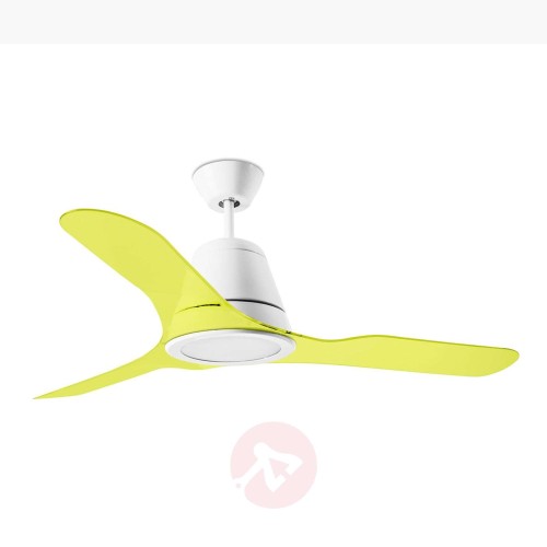 21cd08c3678d45805a4e53c593befc42