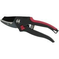 Sekator Anvil