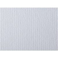 Papier ozdobny FREE STYLE Laid Biały 220g/m2 25ark.