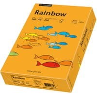 Papier ksero RAINBOW A4 160g nr 24 pomarańczowy