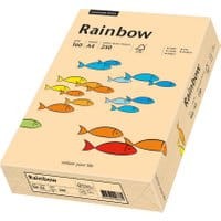Papier ksero RAINBOW A4 160g nr 40 łososiowy