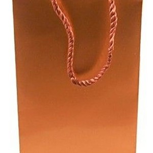 Large Gift Bag (Empty)