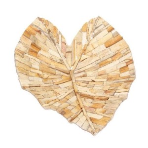 Patera Fossil 43cm