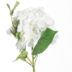 Kwiat Hortensji wys.65cm white