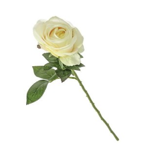 Kwiat Rose Cream
