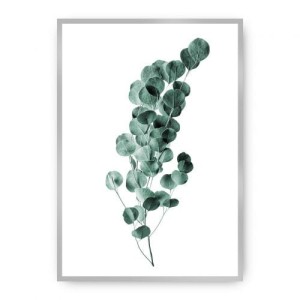 Plakat Eucalyptus Emerald Green