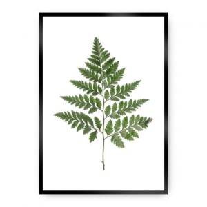 Plakat Fern Green
